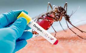 050324 DENGUE 2