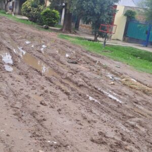 WhatsApp Image 2025-02-16 at 18.03.23